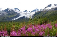 Photo by Albumeditions | Not in a city  Alaska Glacier